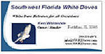 Southwest Florida White Doves